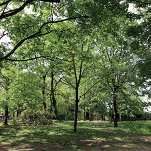 Le parc Chambovet &copy; Eric Bascol