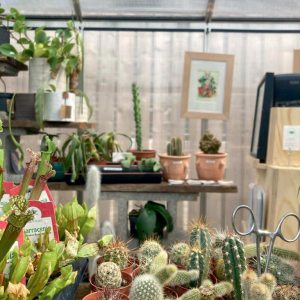 Société Protectrice des Végétaux © DR